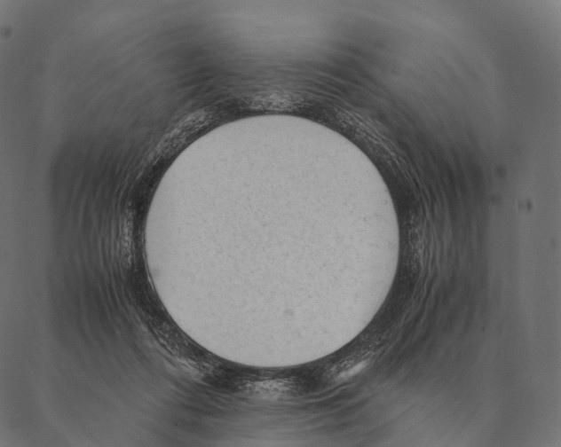 X0000087310312200705180952