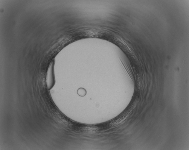 X0000087310313200705180952