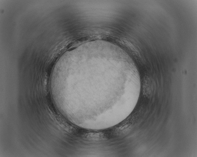 X0000087310314200705180952