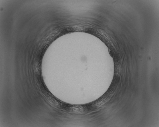 X0000087310317200705180952