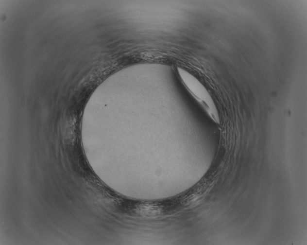 X0000087310319200705180952