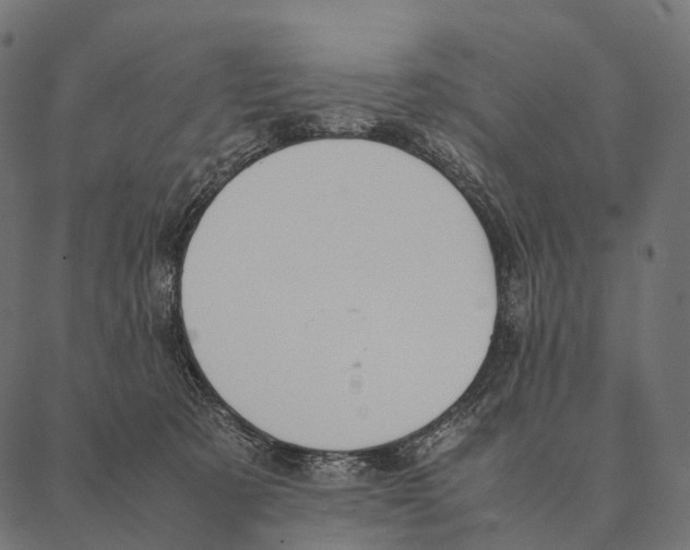 X0000087310321200705180952