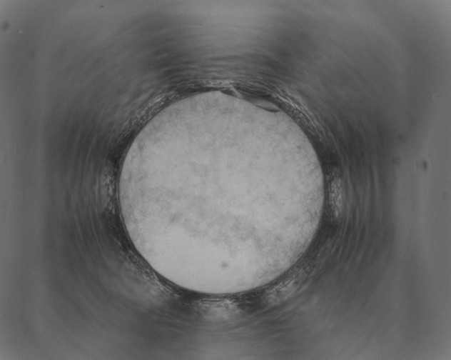 X0000087310322200705180952