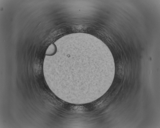 X0000087310324200705180952