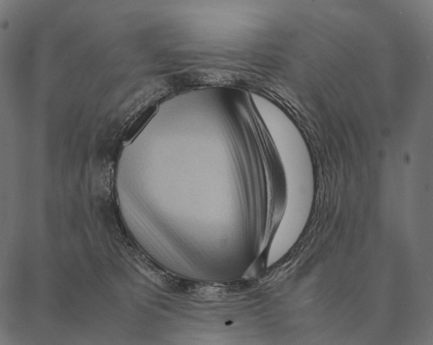 X0000087310325200705180952