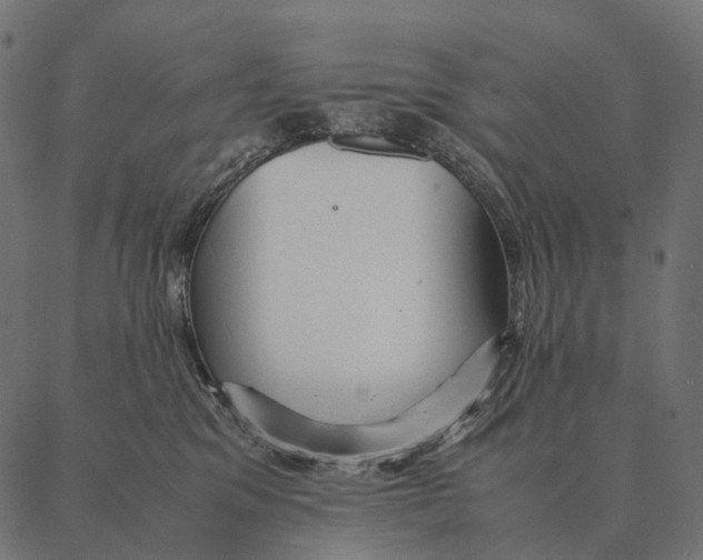 X0000087310329200705180952