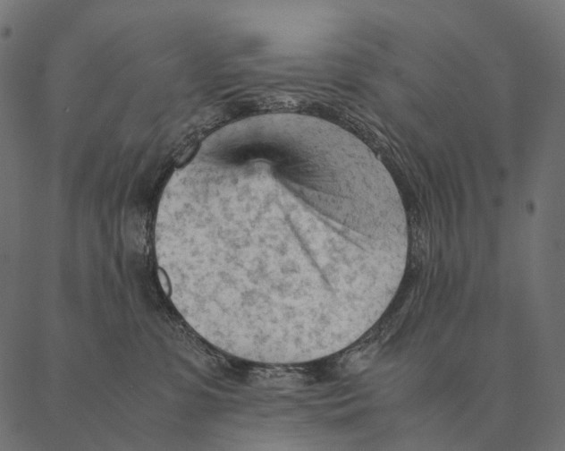 X0000087310331200705180952