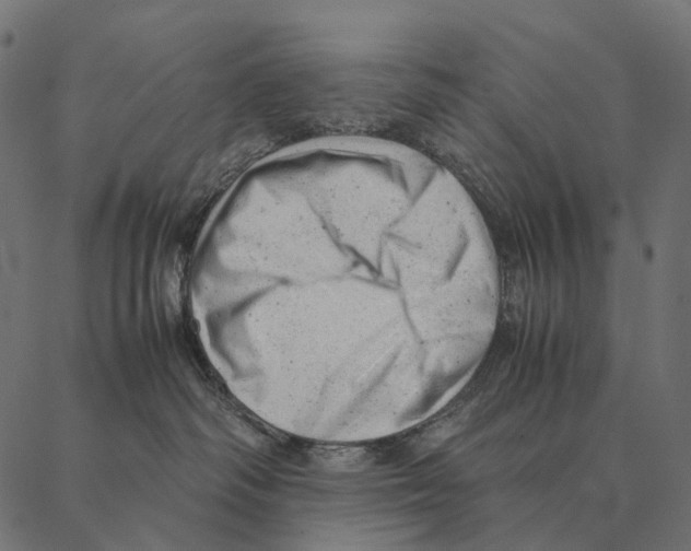 X0000087310334200705180952