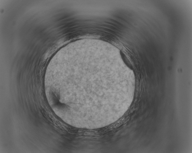 X0000087310337200705180951