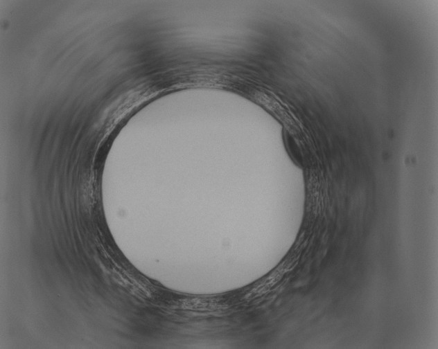 X0000087310338200705180951