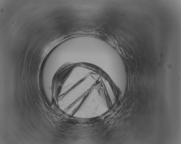 X0000087310340200705180951