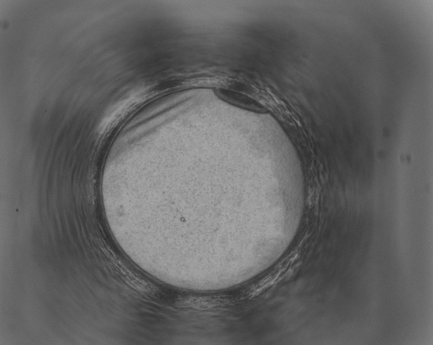 X0000087310341200705180951