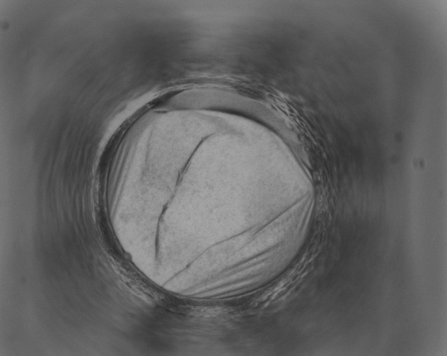 X0000087310342200705180951