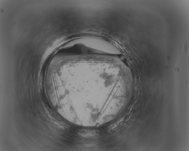 X0000087310343200705180951