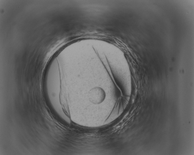 X0000087310344200705180951