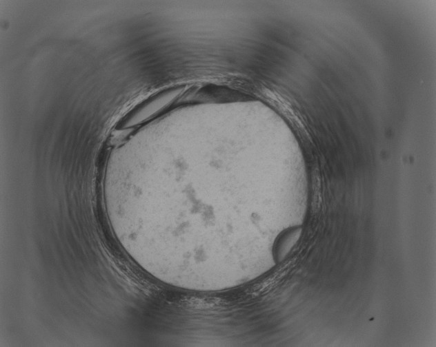 X0000087310346200705180951