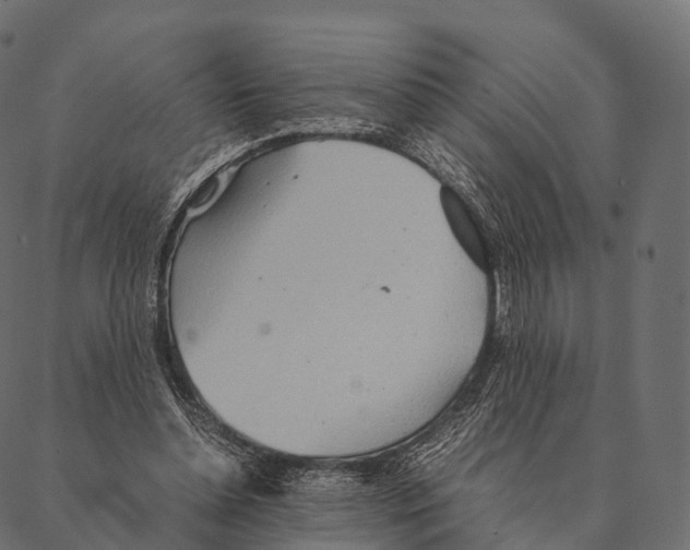 X0000087310348200705180951