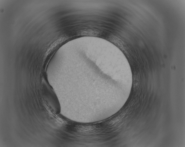 X0000087310349200705180951