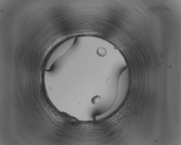 X0000087310350200705180951