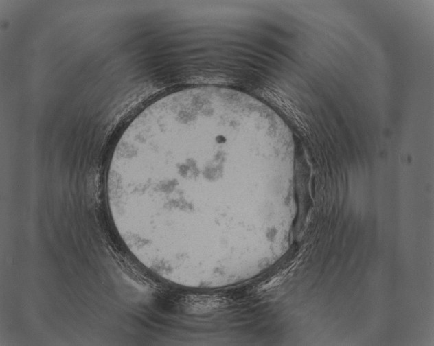 X0000087310351200705180951