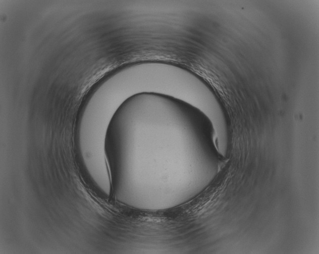 X0000087310352200705180951