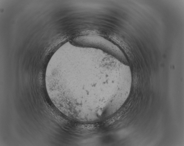 X0000087310353200705180951