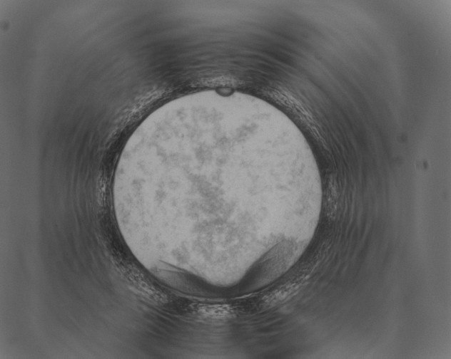 X0000087310355200705180952