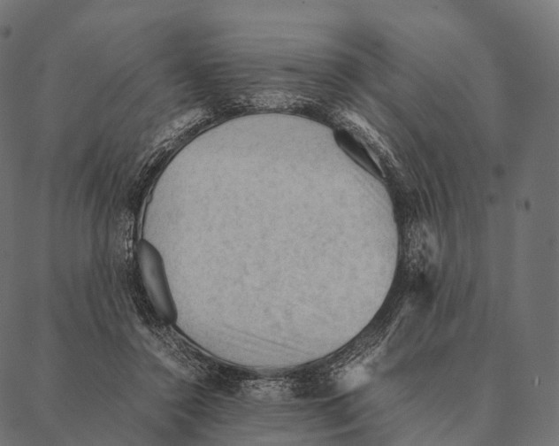 X0000087310356200705180952