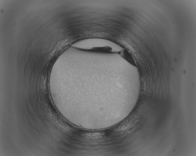 X0000087310357200705180952