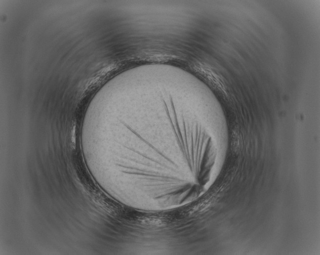 X0000087310358200705180952