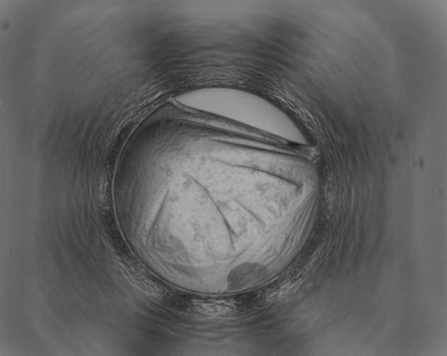 X0000087310359200705180952