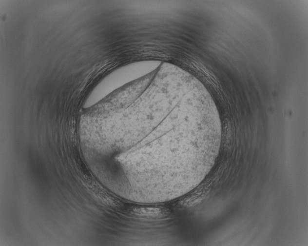 X0000087310361200705180952