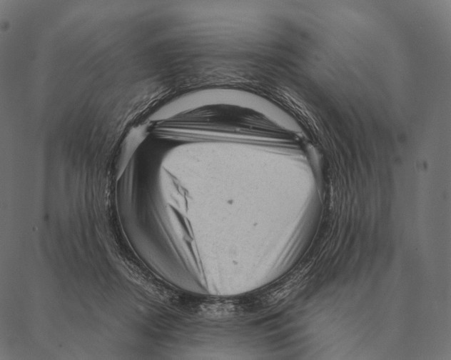 X0000087310362200705180952