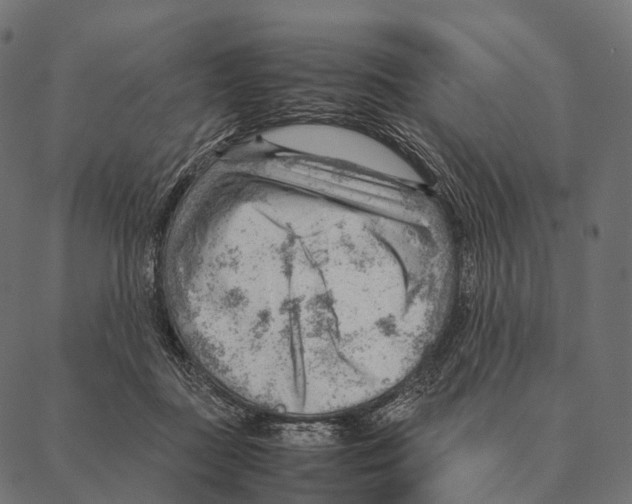 X0000087310363200705180952