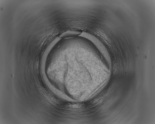 X0000087310365200705180952