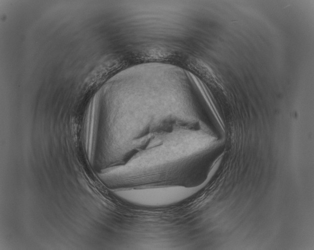 X0000087310366200705180952