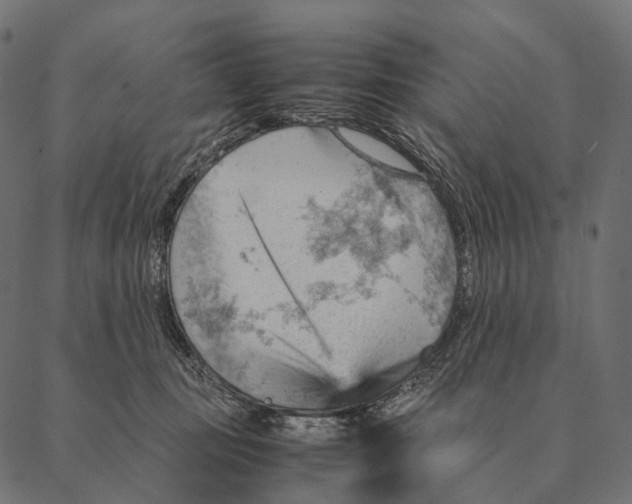 X0000087310371200705180952