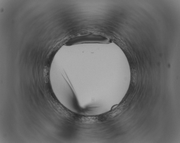 X0000087310378200705180952