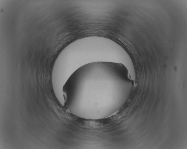 X0000087310380200705180952