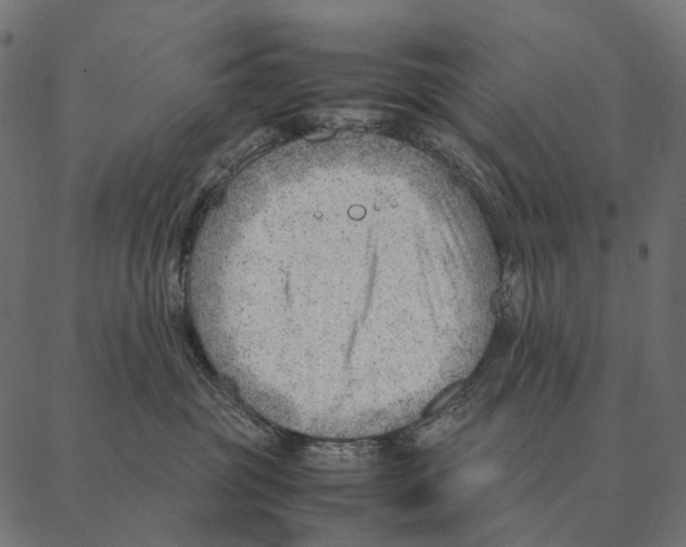 X0000087310381200705180952