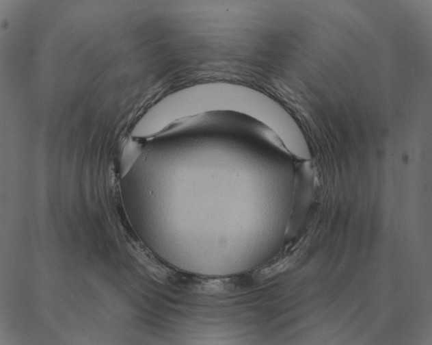 X0000087310382200705180952