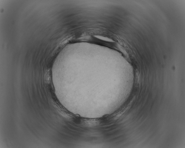 X0000087310383200705180952