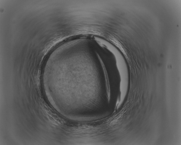 X0000087310387200705180951