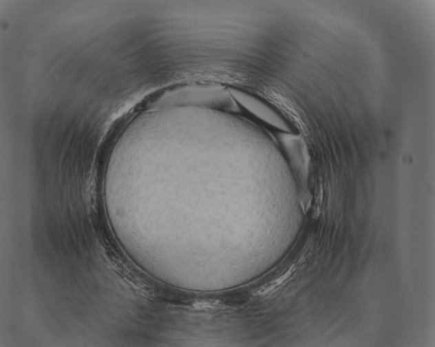 X0000087310388200705180951