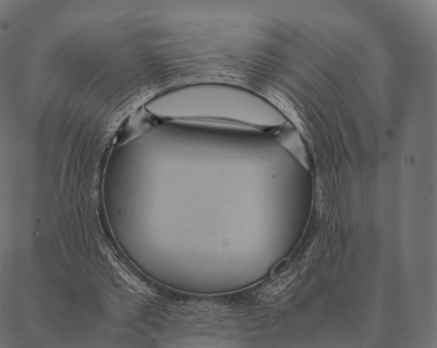 X0000087310389200705180951