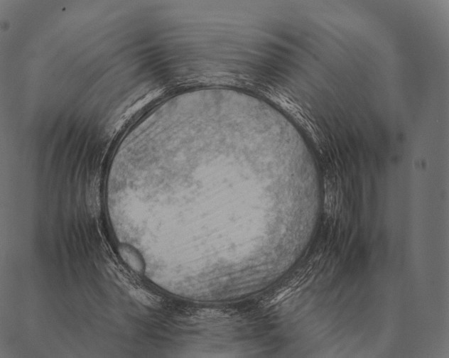 X0000087310390200705180951