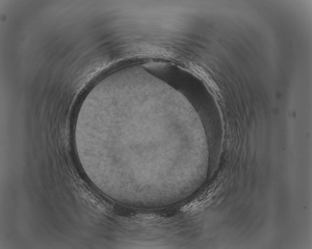 X0000087310391200705180951