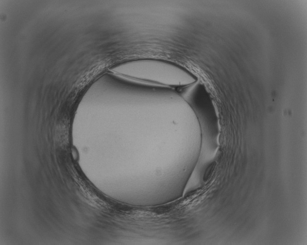 X0000087310393200705180951