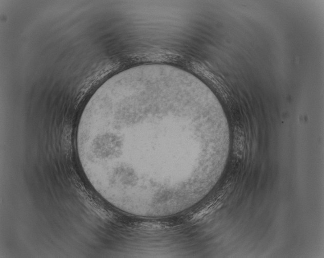 X0000087310394200705180951