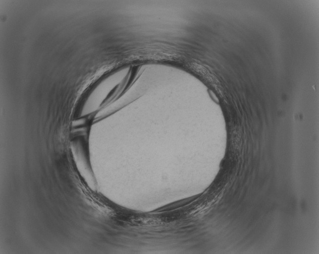 X0000087310395200705180951